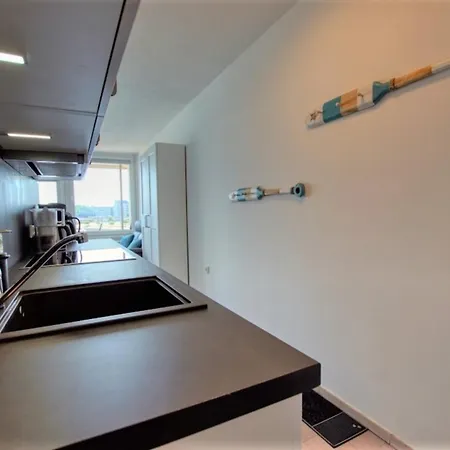 Haus Schoene Aussicht, App 2sb209 公寓 *
